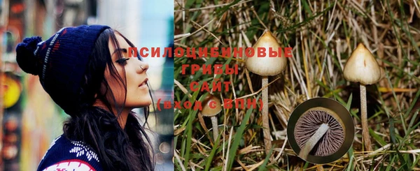 стафф Нязепетровск